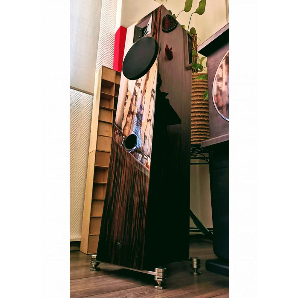 Напольная акустика hORNS 5degrees No17