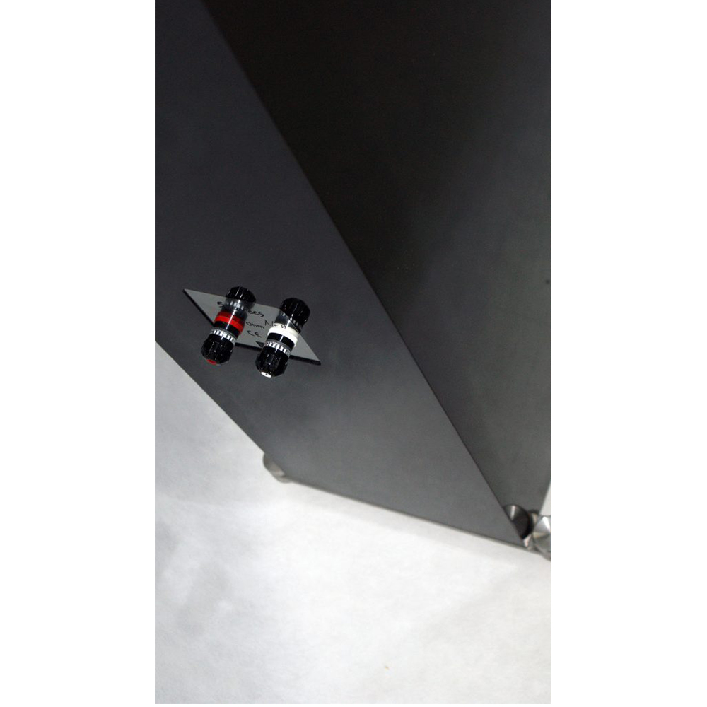 Напольная акустика hORNS 5degrees No19