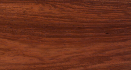 Полочная акустика Gauder Akustik Capello 40