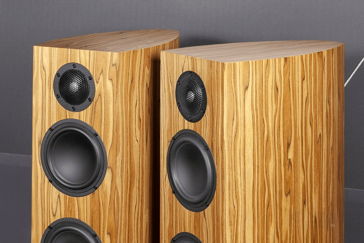 Акустические системы Gauder Akustik Capello 100 DV Акустические системы Gauder Akustik Capello 100 DV