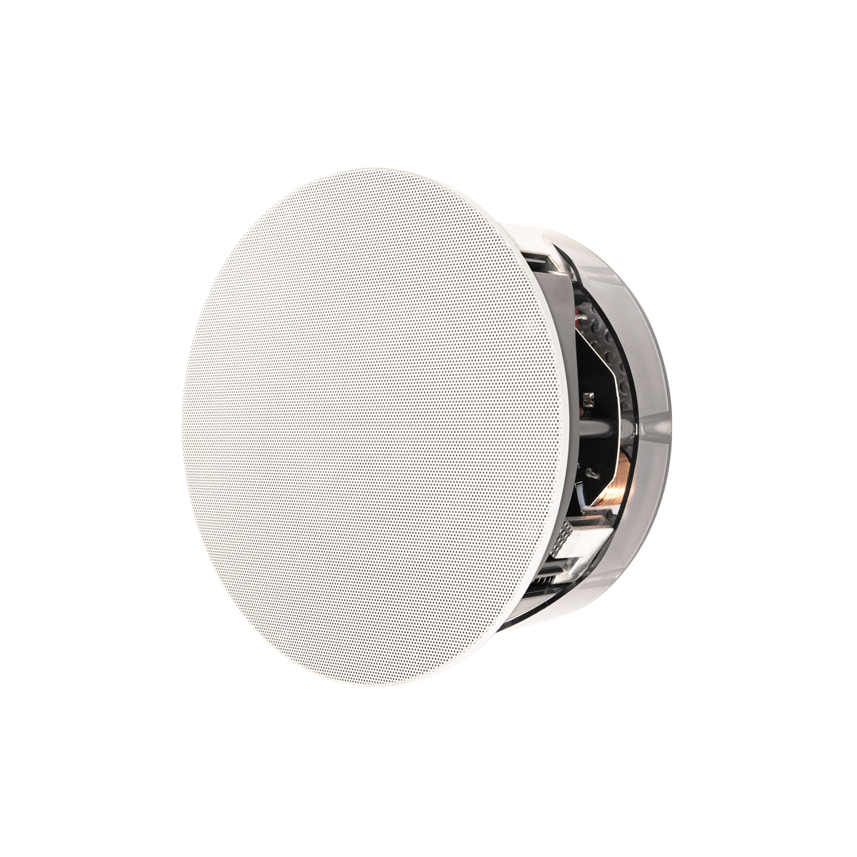 Paradigm CI Pro P65-R v2