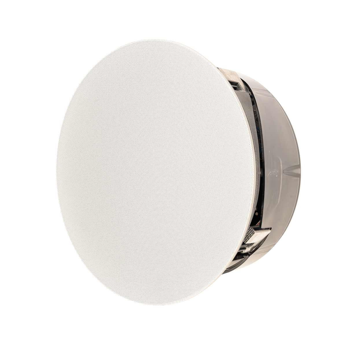 Paradigm CI Pro P80-SM v2