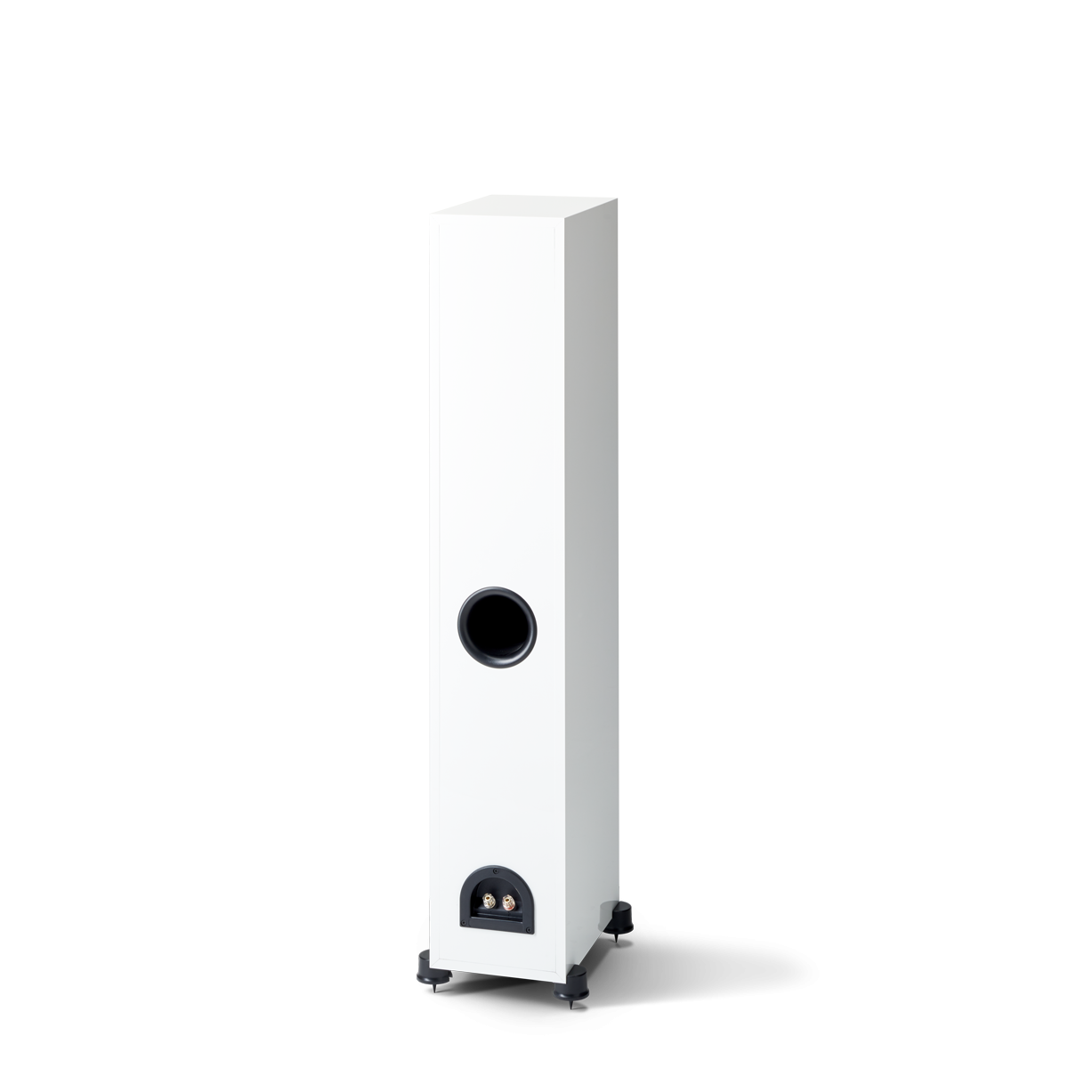 Paradigm Monitor SE 3000F